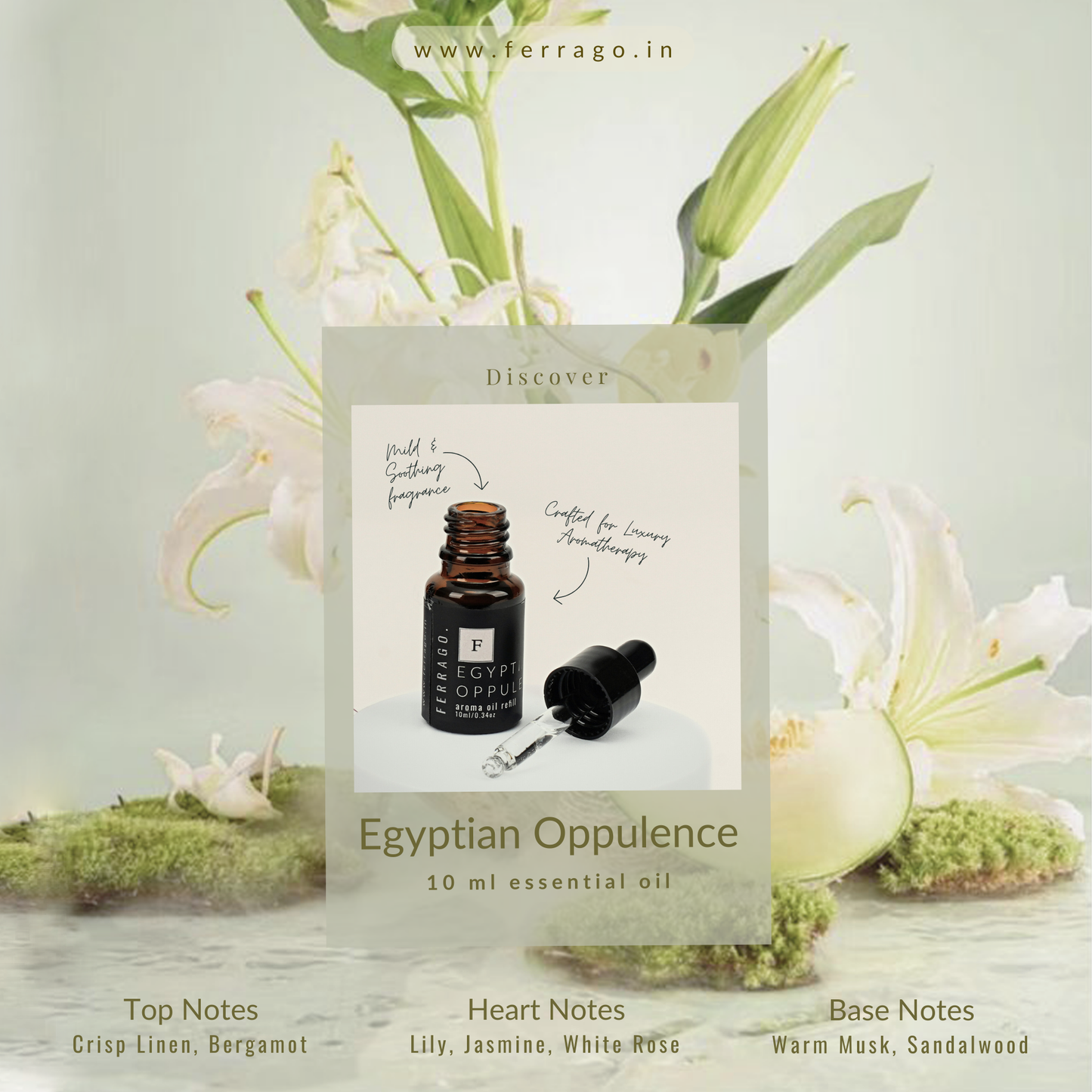 Egyptian Oppulence