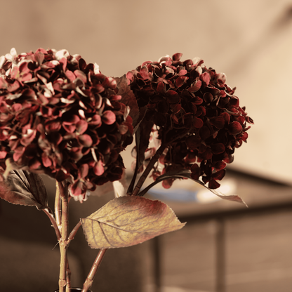 Antique Hydrangea Stem