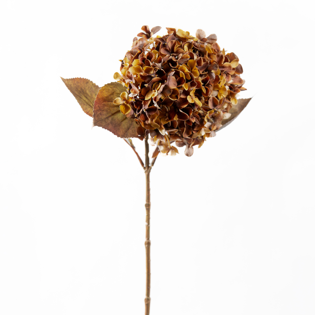 Antique Hydrangea Stem