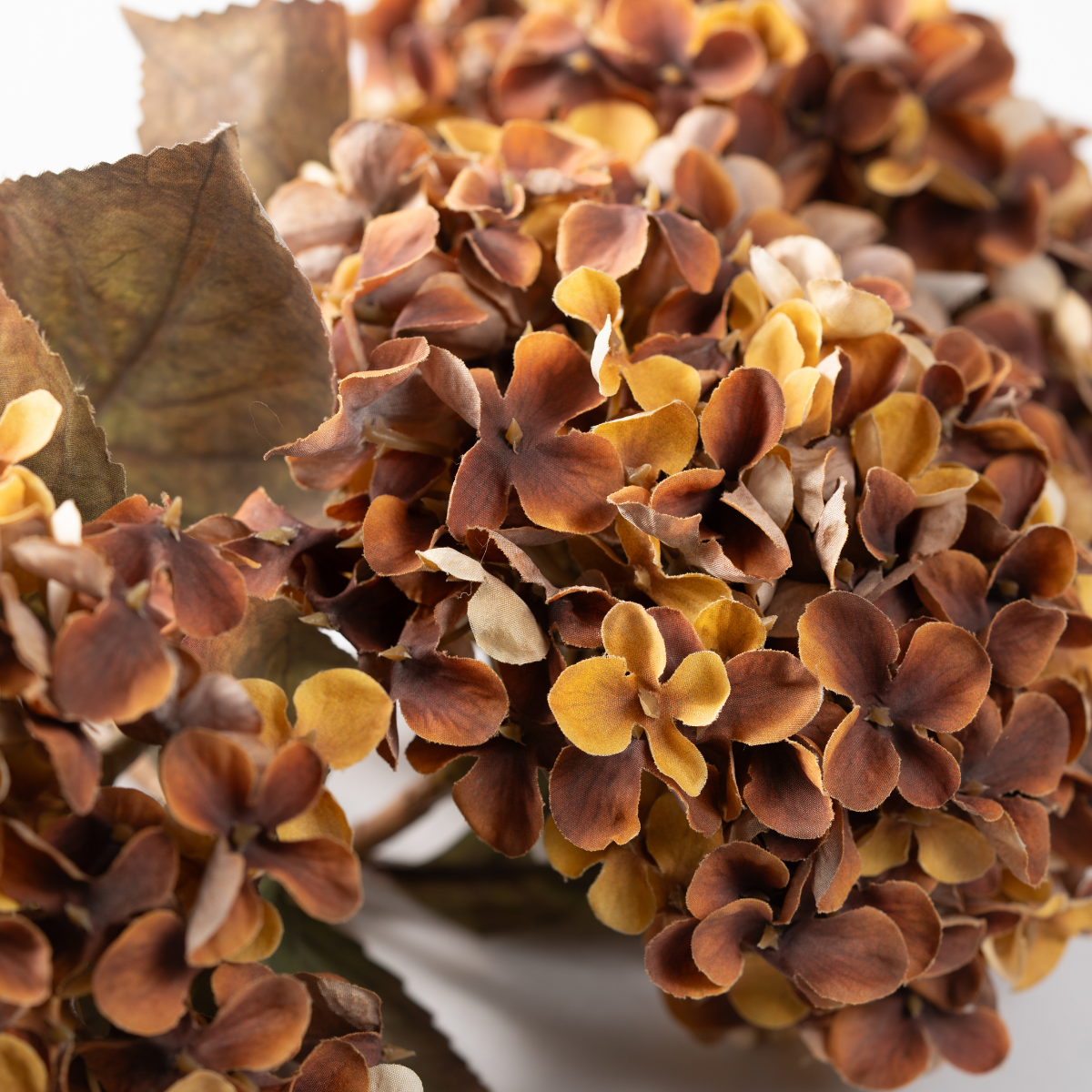 Antique Hydrangea Stem