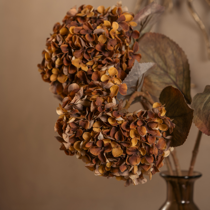 Antique Hydrangea Stem