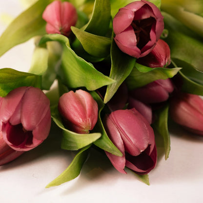 Tulip Bunch- Compact