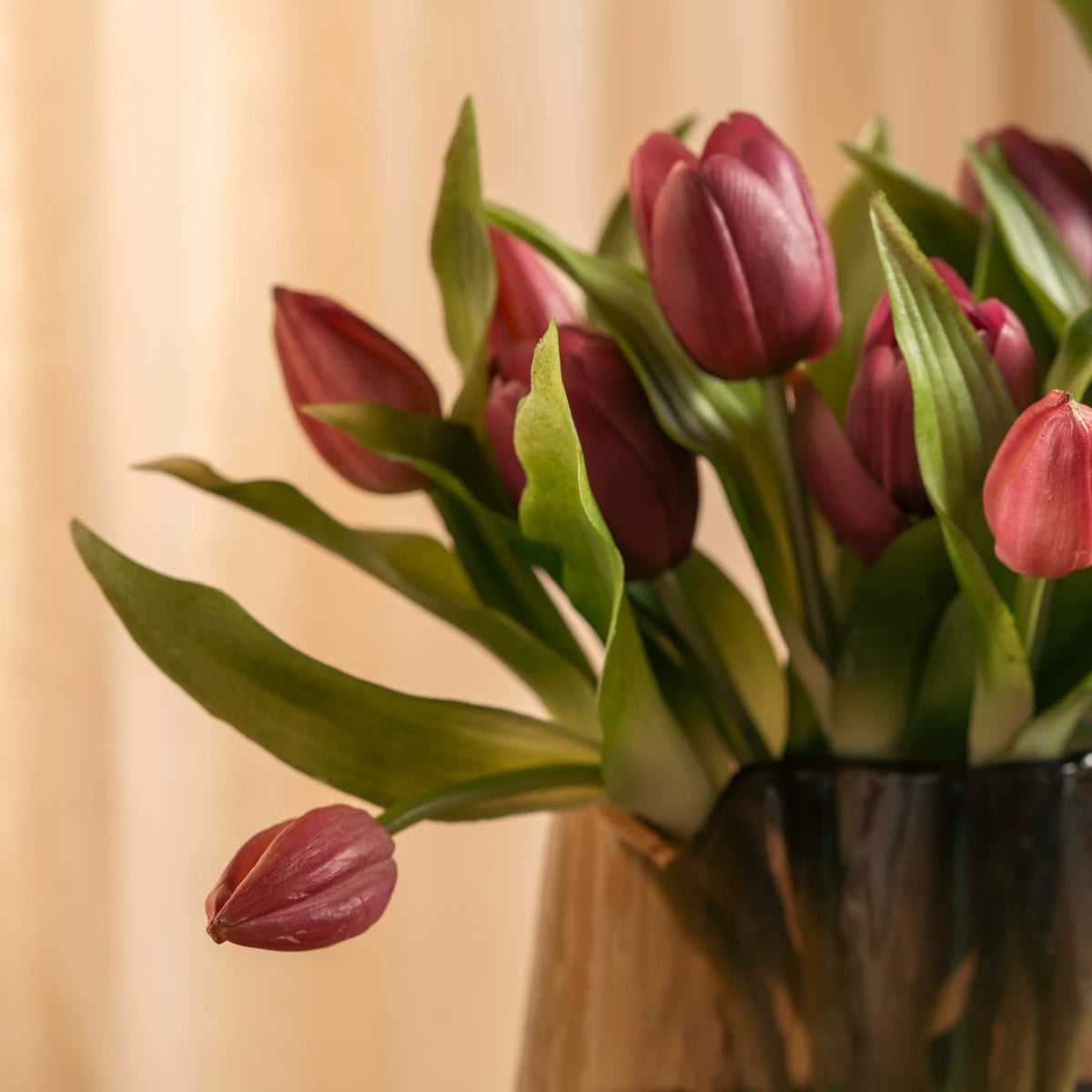 Tulip Bunch- Compact