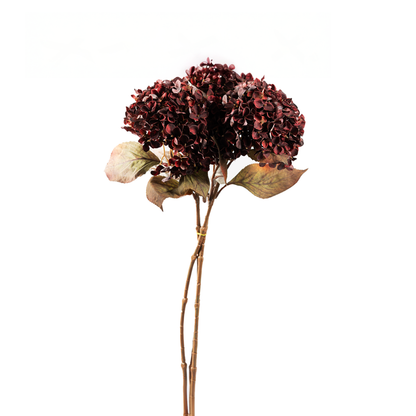 Antique Hydrangea Stem