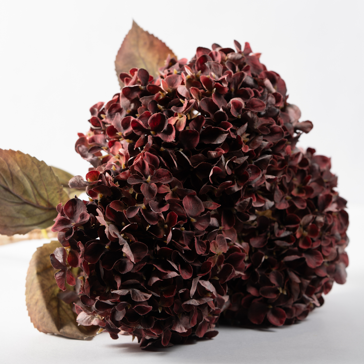 Antique Hydrangea Stem