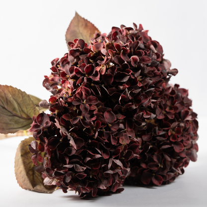 Antique Hydrangea Stem