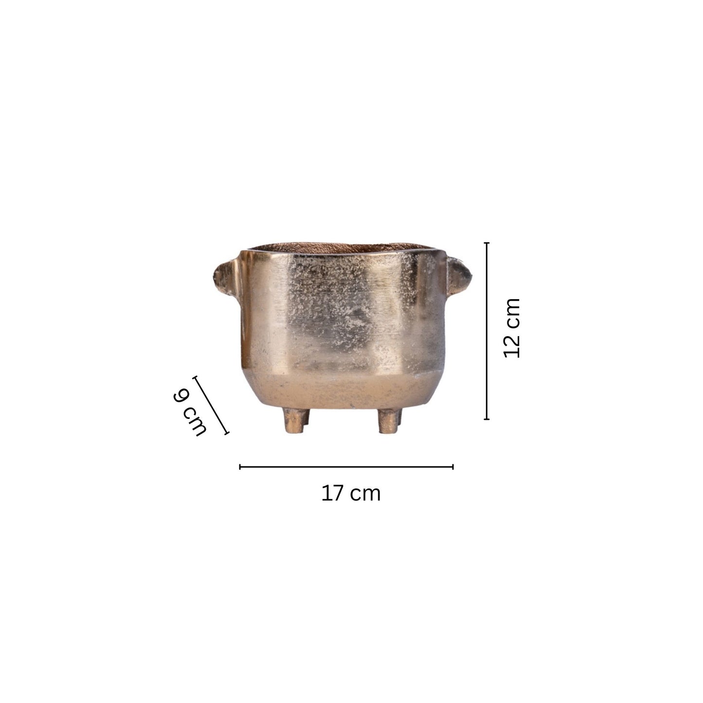 Bronze Verdant Pot