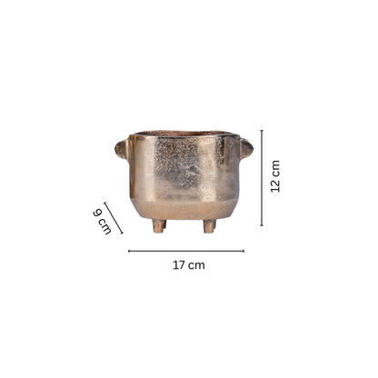 Bronze Verdant Pot