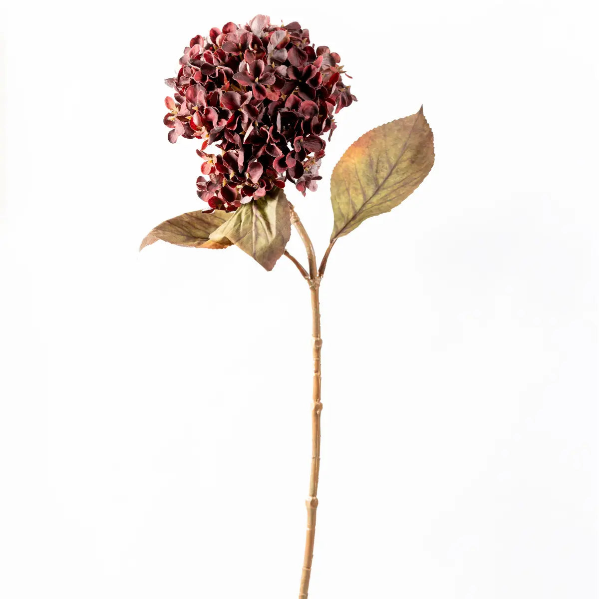 Antique Hydrangea Stem