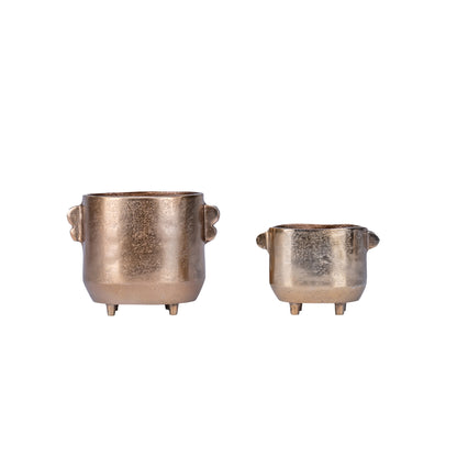 Bronze Verdant Pot
