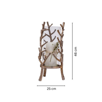 Timber Frame Collection