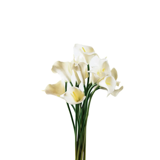 Calla Lily Bunch