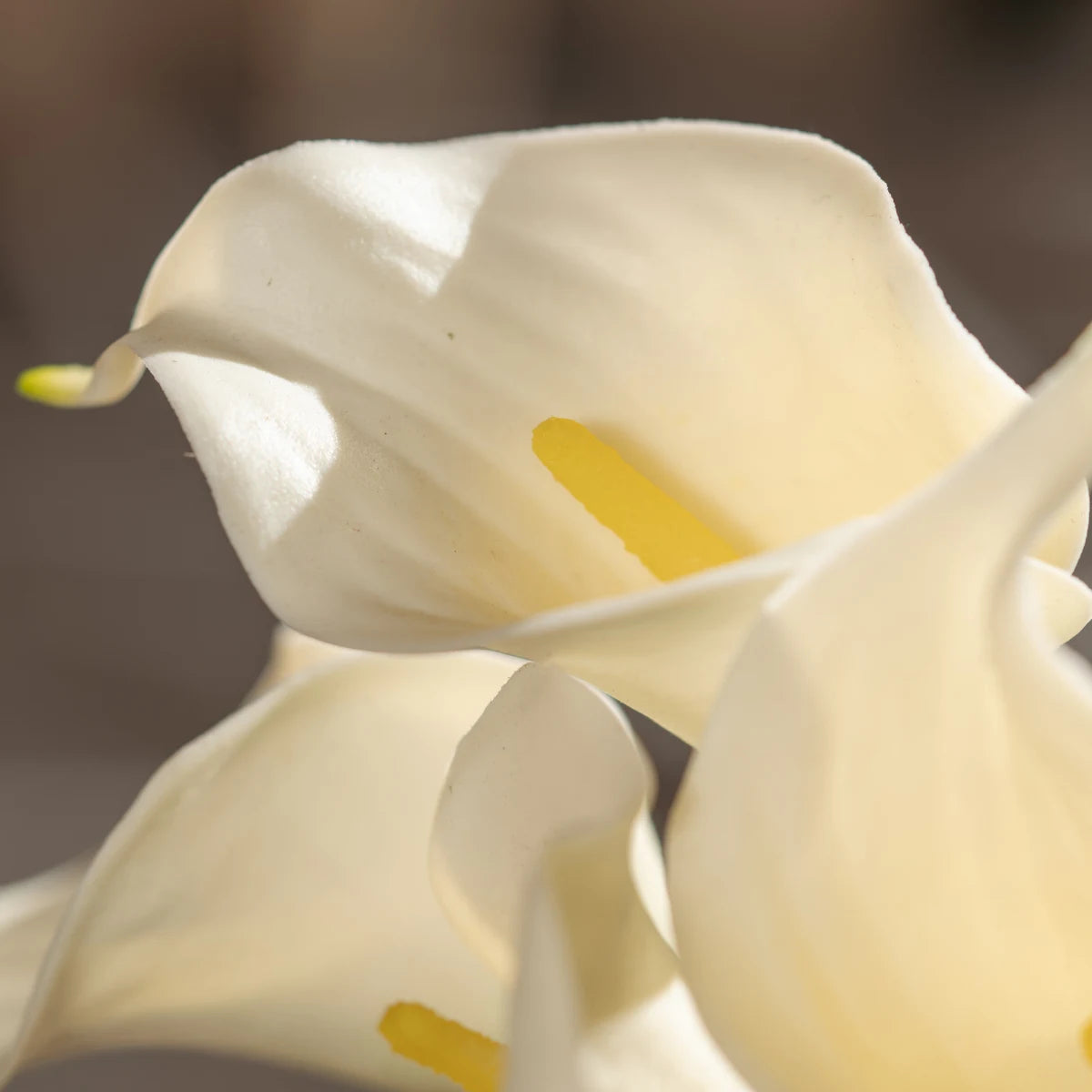 Calla Lily Bunch